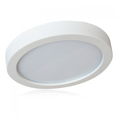 LED Ceiling Light